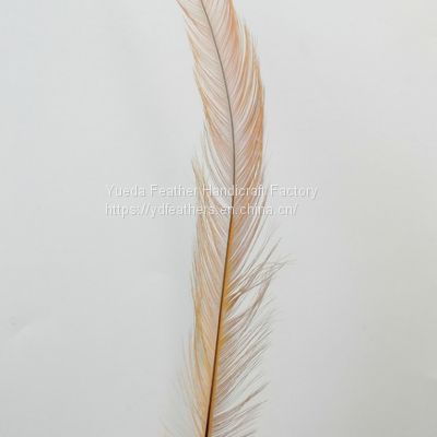 Burnt Rooster/Coque/Cock Tail Feather Dyed Yellow from China