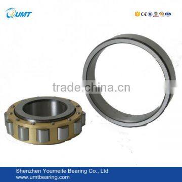 55X100X21 Cylindrical Roller Bearing N211