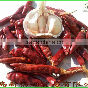 Chinese red dry chili