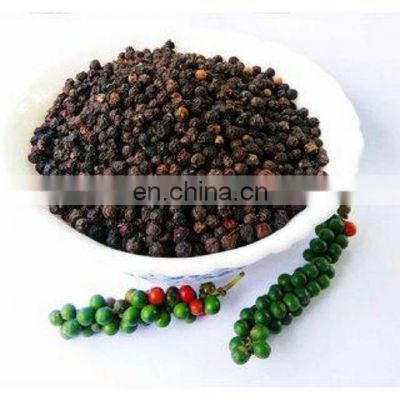 Black pepper high quality from Vietnam