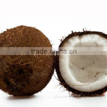 fresh fruit-fresh coconut