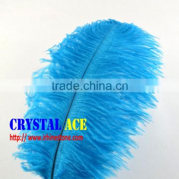 Dyed Ostric Feather, Feather ostric plumes for Carnival costumes