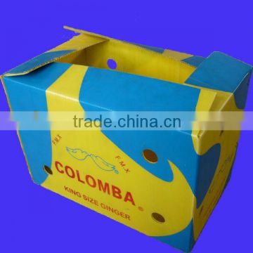 eco-friendly fresh fruit corrugated plastic boxes for packing