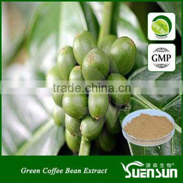 natural chlorogenic acids 50% green coffee bean extract powder