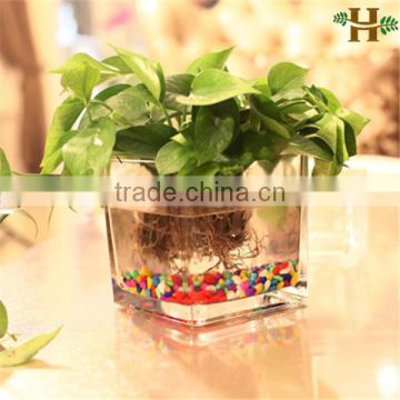 cheap clear cube glass vases wholesale