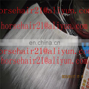 Clip horse hair forelocks for equestrian saddlery products