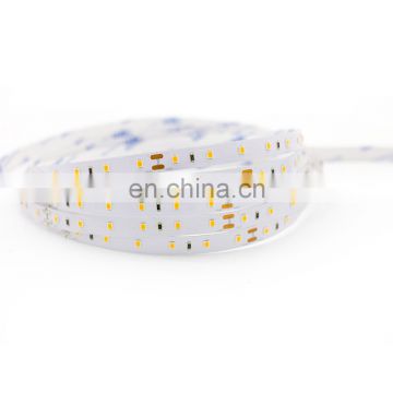 RGBW SMD5050 Flexible LED Strip Lights led rope light with built-in IC