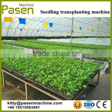 Cheap price Hand held vegetable transplanter/Planting machine/Onion transplanting machine