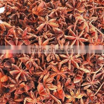 Premium autumn star anise