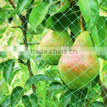 fruit protection net anti bird net in large size