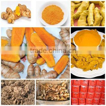 TURMERIC FINGER WITH HIGH QUALITY AND BEST PRICE