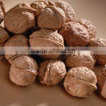 China walnuts in shell or kernel so good quality and cheap price
