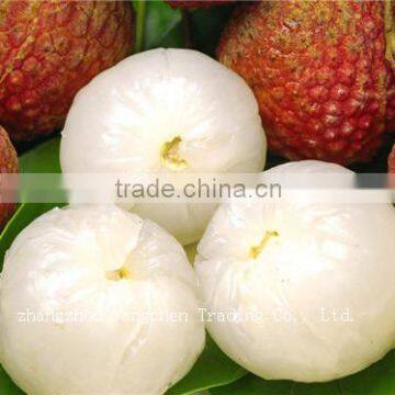 Top Quality Canned Lichee Fruits HACCP Certificate