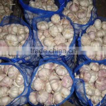 YUYUAN brand hot sail fresh garlic garlic box 10kg