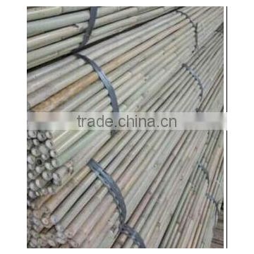Bamboo Poles Cheap Wholesale
