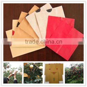 Fuji apple protection bag factory price good quality