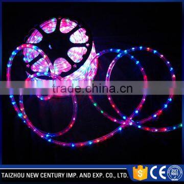 Family 3D Outdoor Christmas led flat rope light