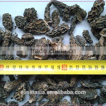 special grade dry morchella conica