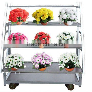 display flower trolley cart