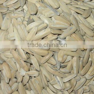 High Quality White Sunflower seeds