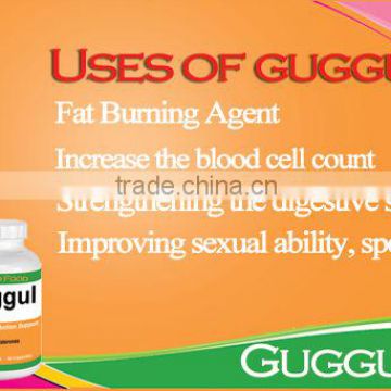 Herbal Supplement - Guggul Capsule