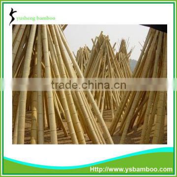 Moso cheap bamboo poles