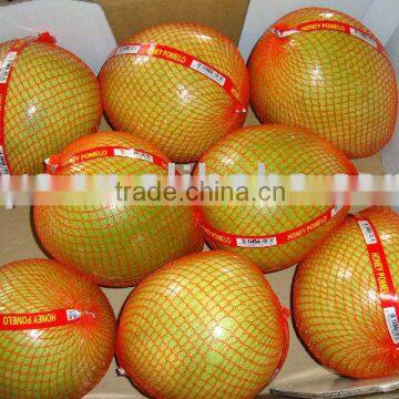 fresh pomelo