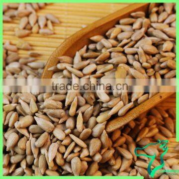 Sunflower Seeds Kernel Wholesale Price