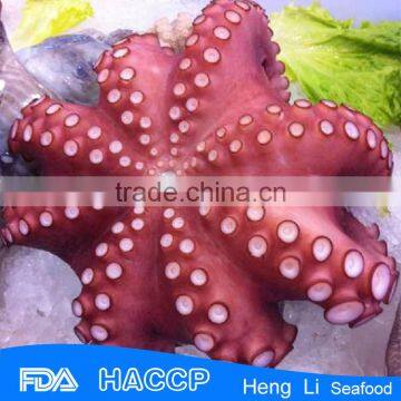 HL089 healthy boiled octopus