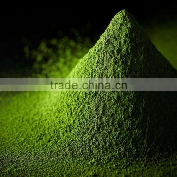 Small Packing Organic Green Tea Extract Powder Matcha Wholesale