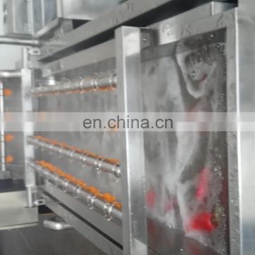 fruit cleaning machine fruit and vegetable cleaner leaf vegetable washing machine