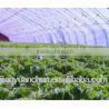 White Agriculture plastic film high quality EVA greenhouse film