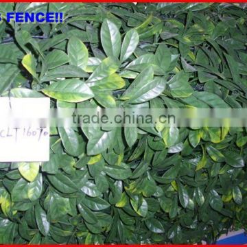 2013 China fence top 1 Chain link mesh hedge wire mesh for rabbits