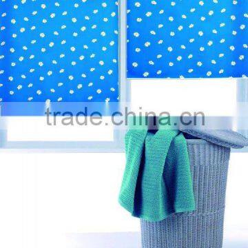 Interior Decorations Window Roller Blinds