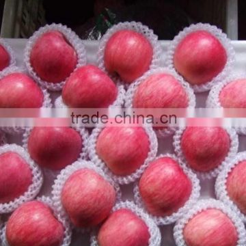 fresh fuji apples are on sale in favourable price