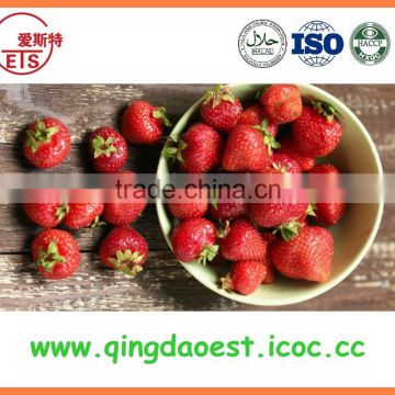 2016 new crop best quality fresh strawberry for sale