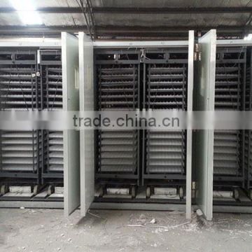 Best selling automatic 33792 eggs poultry raising equipment