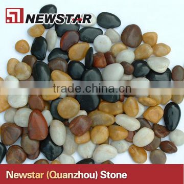 Newstar wholesale pebble stone,natural pebble