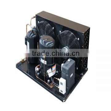 high-quality refrigeration condensing unit for seafood storage JDL-100