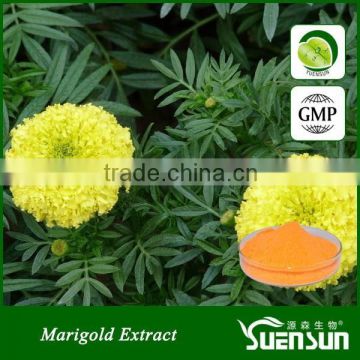 100% Natural herbal marigold flower extract