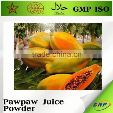 BNP supplier dehydrated pawpaw juice powder
