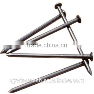 Galvanized steel concrete nails from Guangzhou supplier