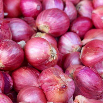 Wholesale Red Onion Exit Red Onion Fresh Onion Price Quality