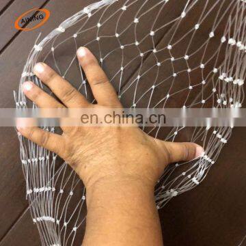 HDPE transparent anti bird net 25x25mm usd for fencing and protecting vegetables in vineyards