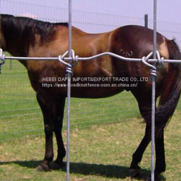 new type fixed knot wire mesh horse fence panel