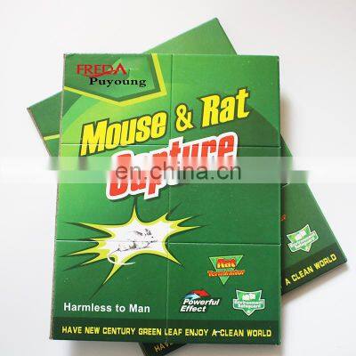 Hot Sale pest repeller mouse glue board high quality mouse rat glue traps