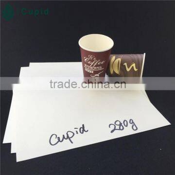 High Quality Food Grade PE Coated Paper, Paper Cup, Paper Cup Blank