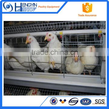 Chicken and poultry farming equipment/chicken egg layer cage