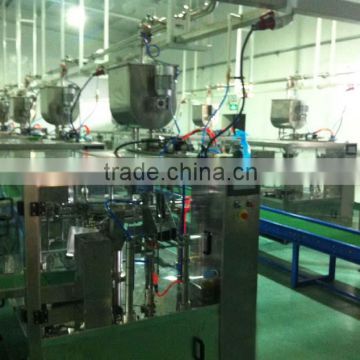 Multi Function stand up pouch packing machine