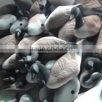 decoy Canada goose for hunting